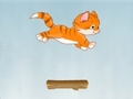 Kitty Jump i chwarae ar-lein