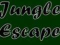 Escape Jungle i chwarae ar-lein