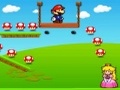 Mario Loves Princess i chwarae ar-lein