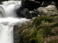 Forest rhaeadr i chwarae ar-lein