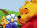 Winnie the Pooh Gwrthrych Cudd i chwarae ar-lein