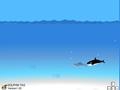 Dolphin Hunt i chwarae ar-lein