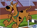 Scooby Doo - Ras ffos a pherth i chwarae ar-lein